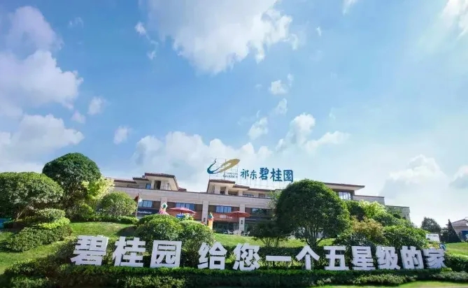 碧桂園爆雷，專家建議國家出手相救，同時購買前20房企住房